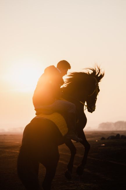 Cavalier et cheval cabré à contre-jour au lever du soleil