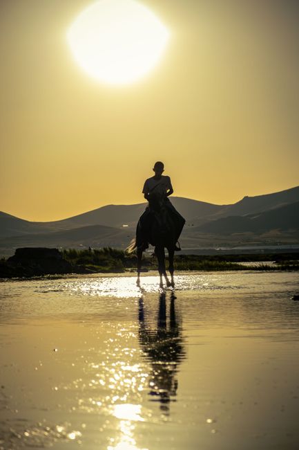 Silhouette d'un cavalier traversant l'eau au coucher du soleil