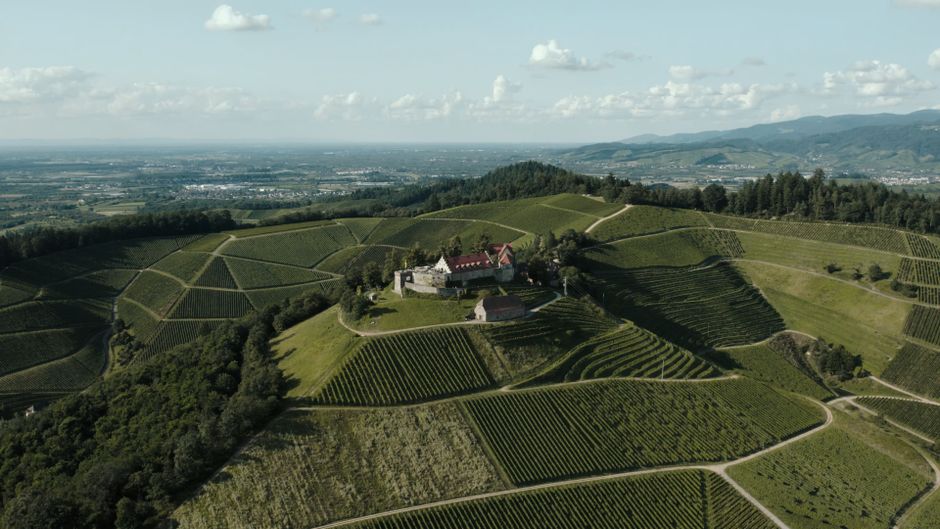 Vue aérienne par drone d'un château entouré de vignes, lieu de réception de mariage